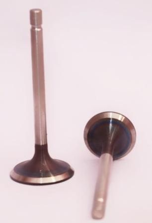 Intake/ Exust Valve Set 178