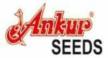 Ankur Seeds