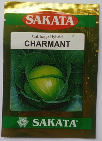 Cabbage CHARMANT -100 Gm