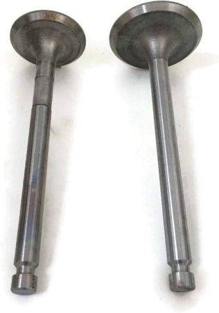 Intake/ Exhaust Valve Set 186